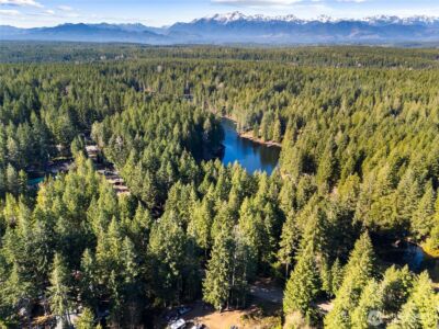 431 NE Collins Lake Drive , Tahuya, WA 98588 - Photo 2