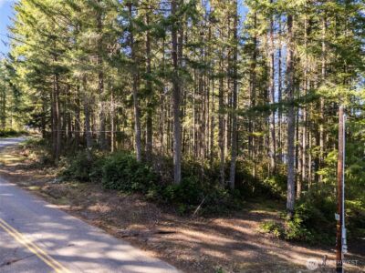 431 NE Collins Lake Drive , Tahuya, WA 98588 - Photo 3