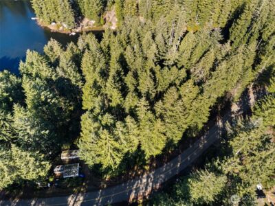 431 NE Collins Lake Drive , Tahuya, WA 98588 - Photo 6