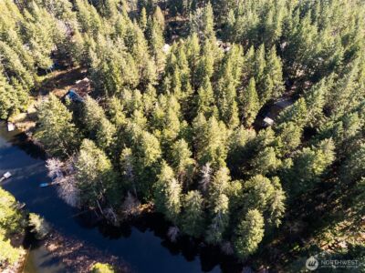 431 NE Collins Lake Drive , Tahuya, WA 98588 - Photo 7