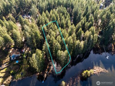 431 NE Collins Lake Drive , Tahuya, WA 98588 - Photo 8