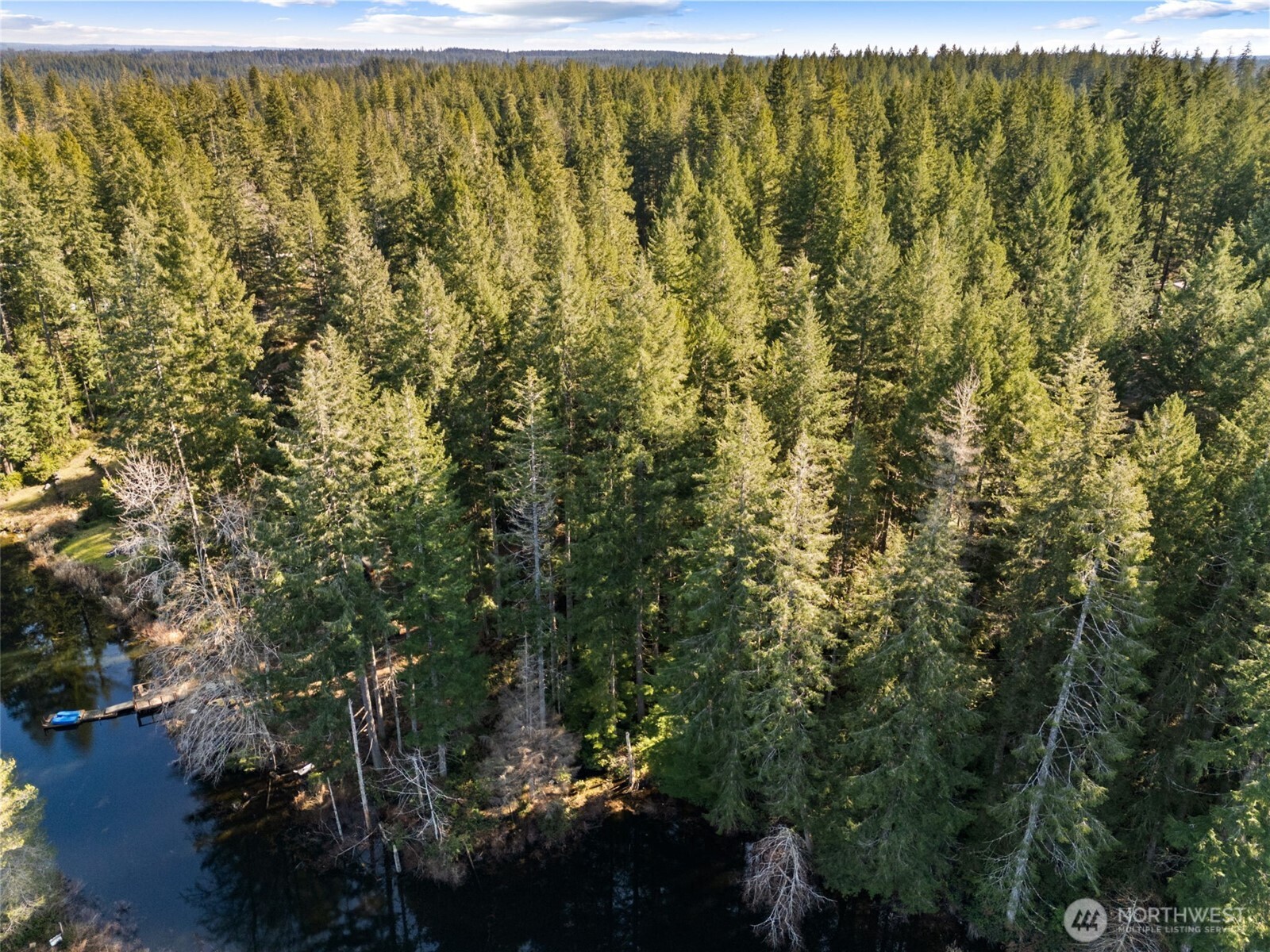 431 NE Collins Lake Drive , Tahuya, WA 98588