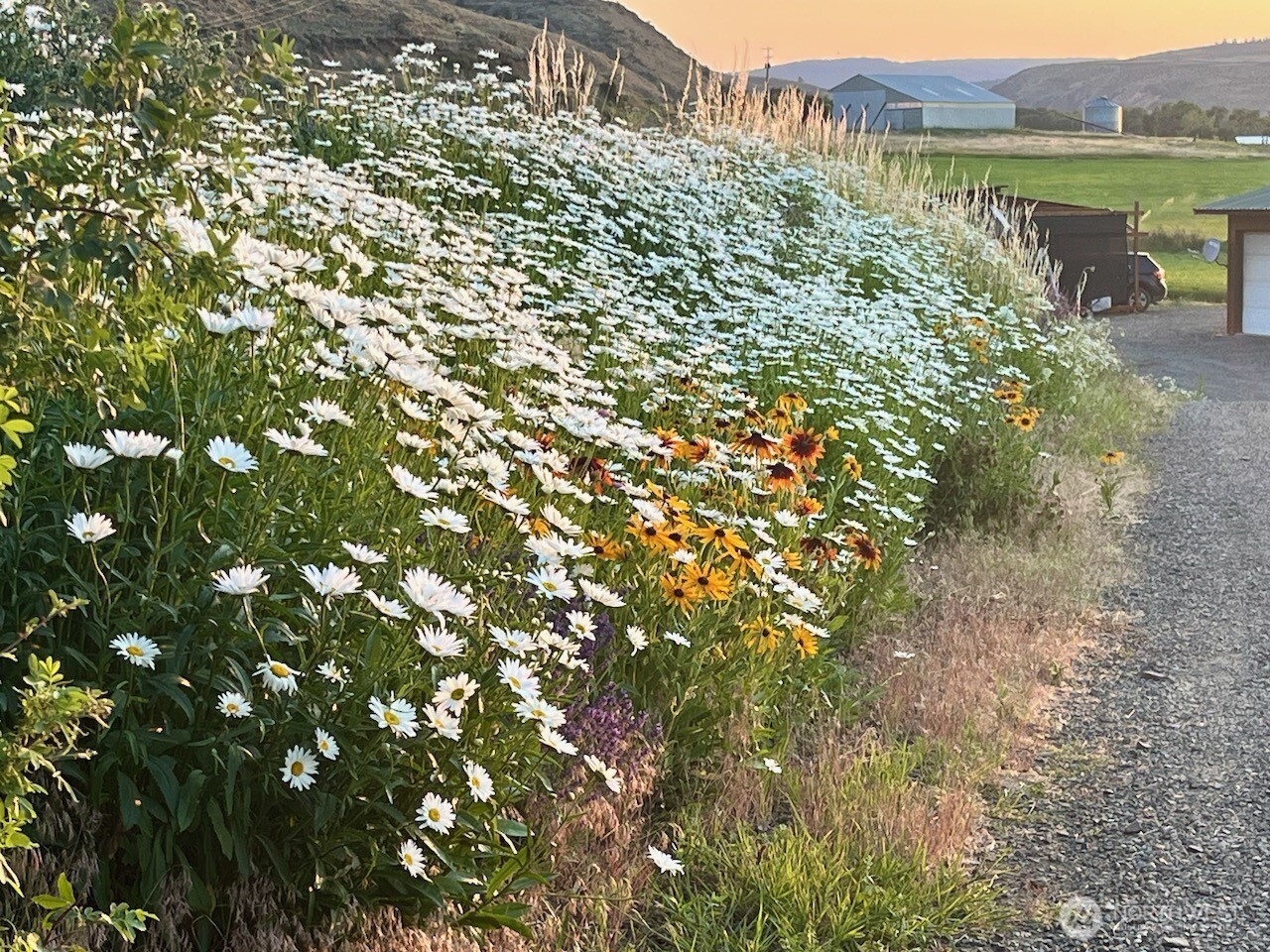 520 Blazing Sky Lane , Ellensburg, WA 98926