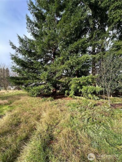 15827 Lawrence Place SE, Yelm, WA 98597 - Photo 3