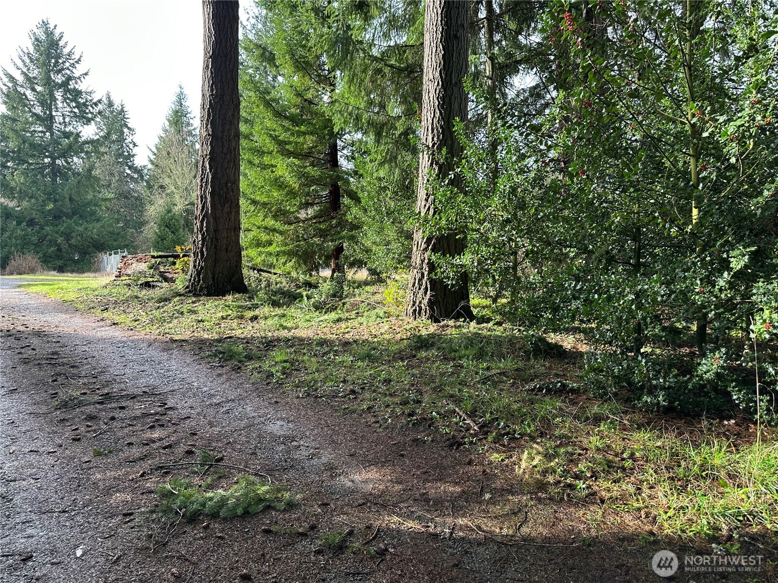 15827 Lawrence Place SE, Yelm, WA 98597