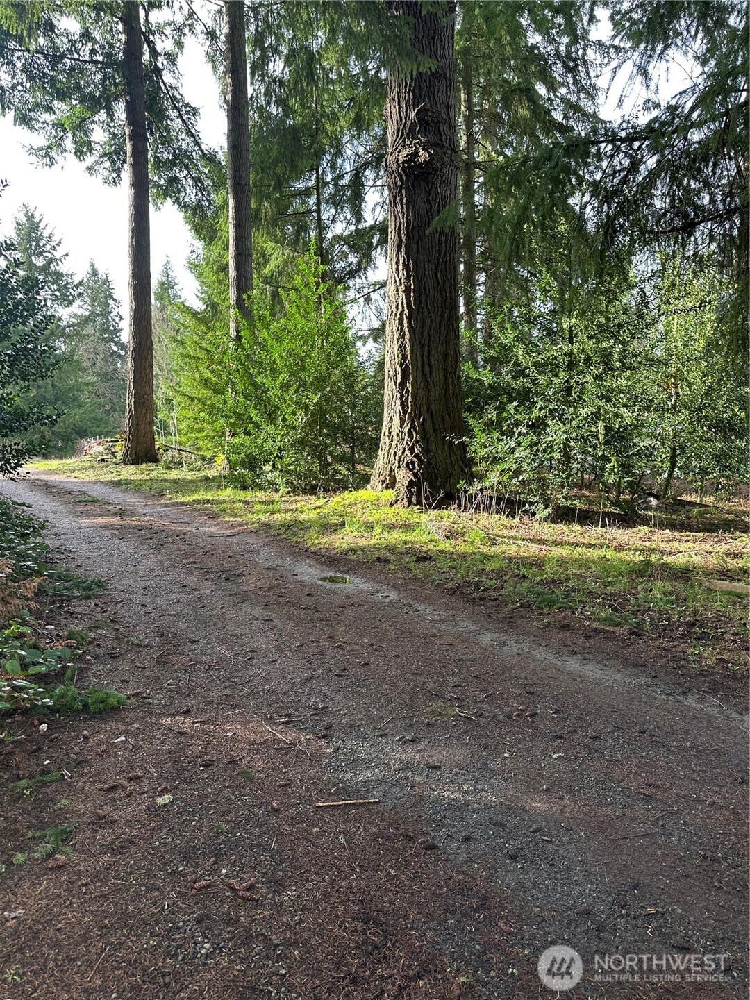 15827 Lawrence Place SE, Yelm, WA 98597