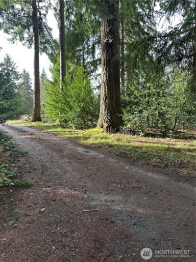 15827 Lawrence Place SE, Yelm, WA 98597 - Photo 9