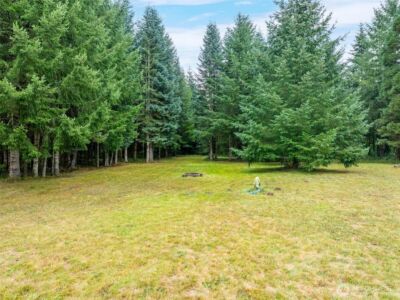 115 Cinebar Road , Cinebar, WA 98533 - Photo 16