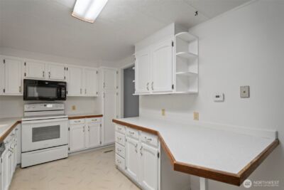 115 Cinebar Road , Cinebar, WA 98533 - Photo 6