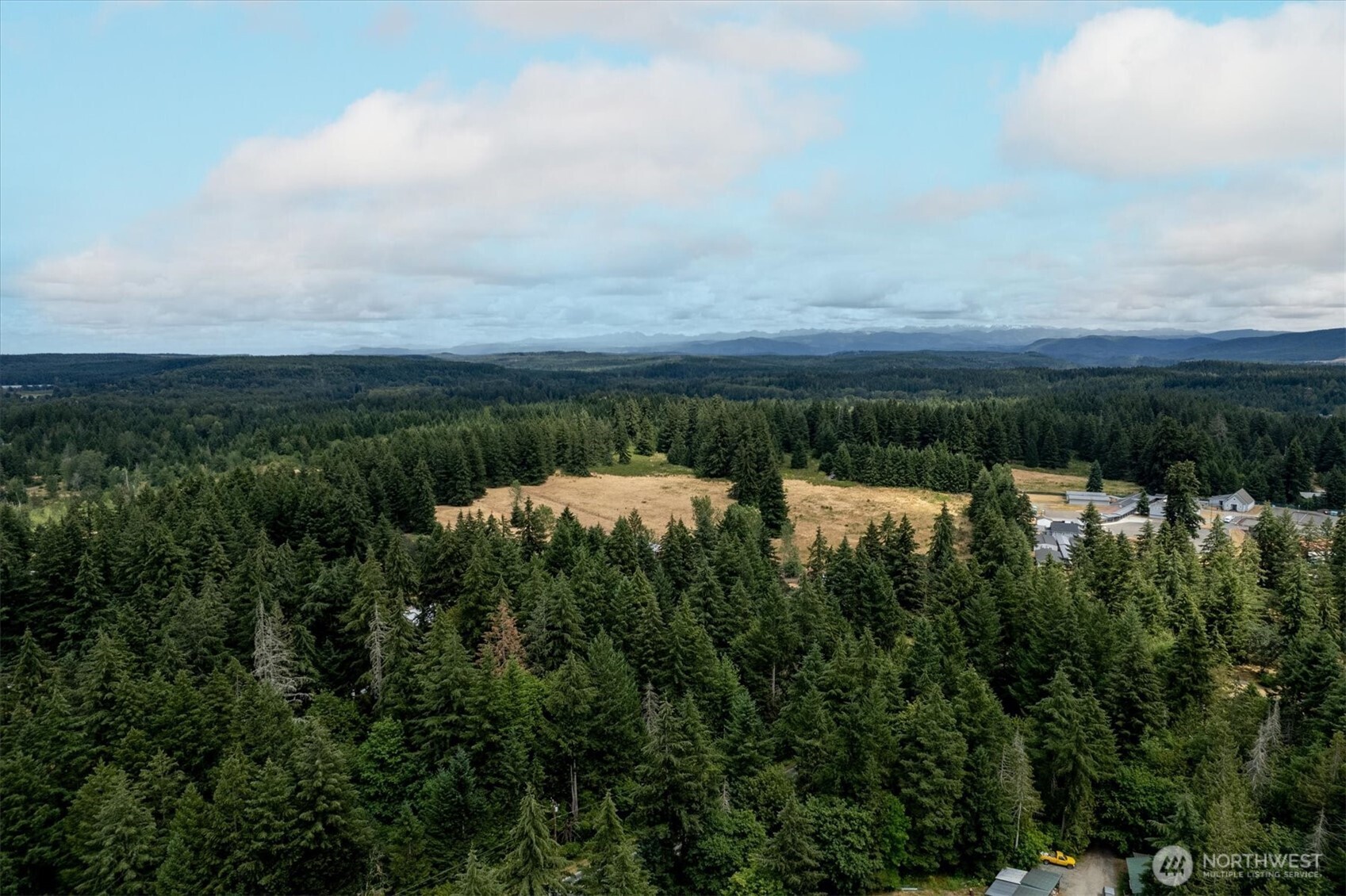 16228 Bald Hills Road SE, Yelm, WA 98597