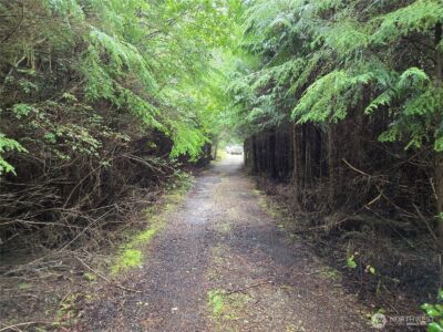 3183 Ocean Beach Road , Pacific Beach, WA 98571 - Photo 3