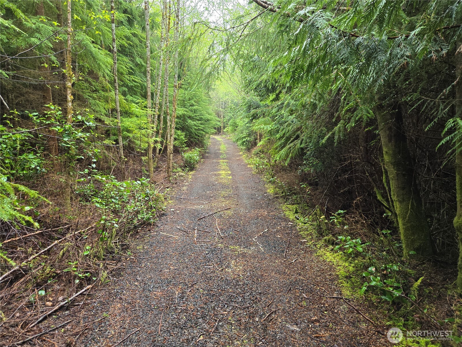 3183 Ocean Beach Road , Pacific Beach, WA 98571