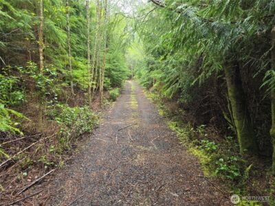 3183 Ocean Beach Road , Pacific Beach, WA 98571 - Photo 4