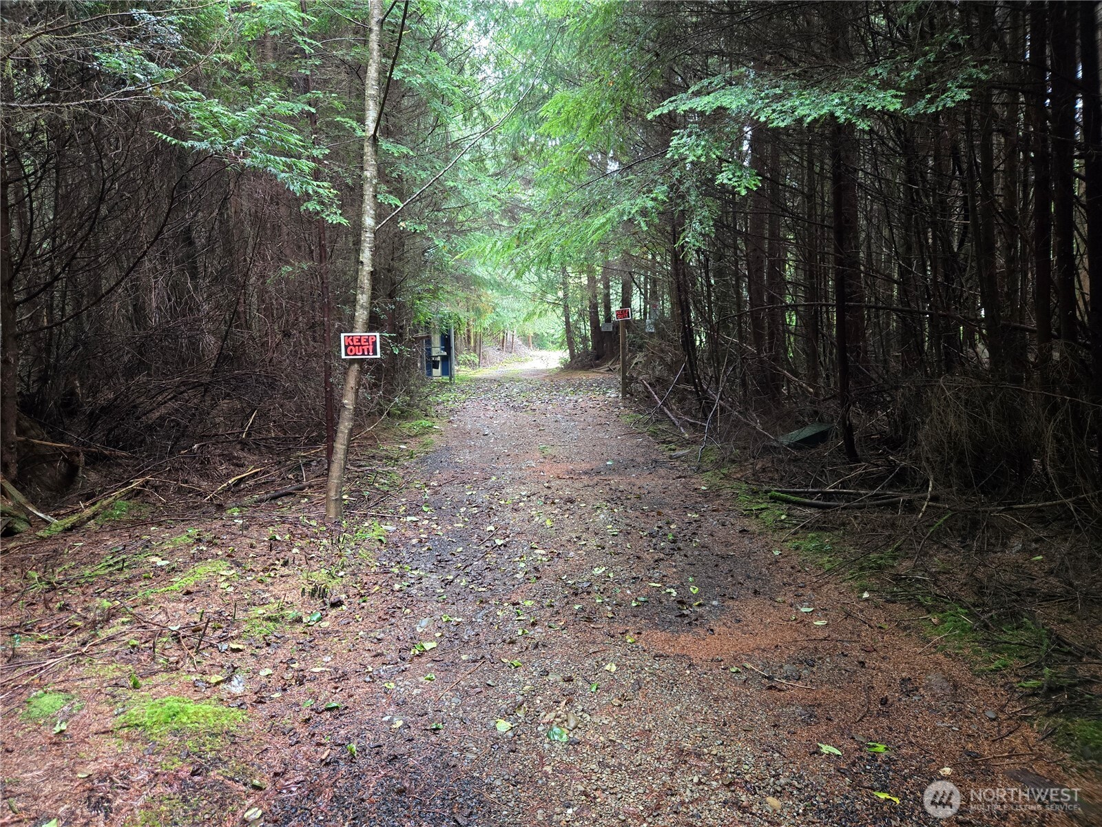 3183 Ocean Beach Road , Pacific Beach, WA 98571