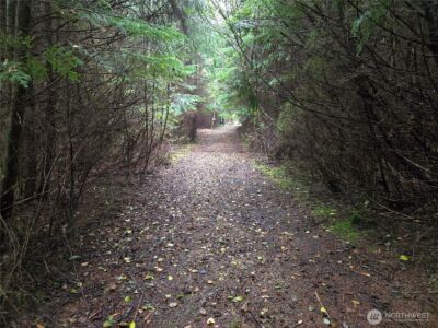 3183 Ocean Beach Road , Pacific Beach, WA 98571 - Photo 6