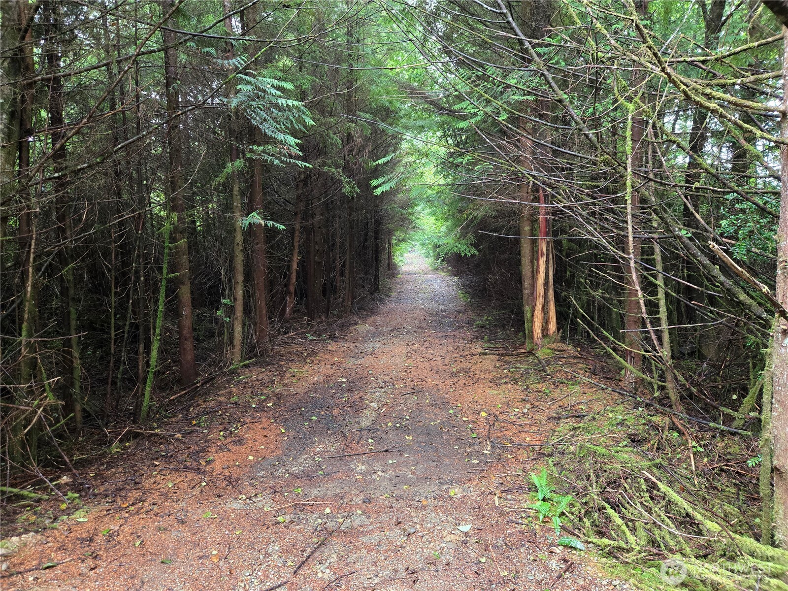 3183 Ocean Beach Road , Pacific Beach, WA 98571