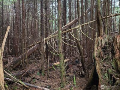 3183 Ocean Beach Road , Pacific Beach, WA 98571 - Photo 8