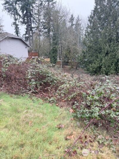 14708 SE 145th Place , Renton, WA 98059 - Photo 4