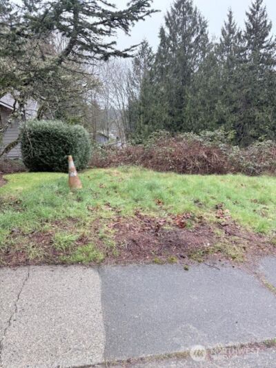 14708 SE 145th Place , Renton, WA 98059 - Photo 6