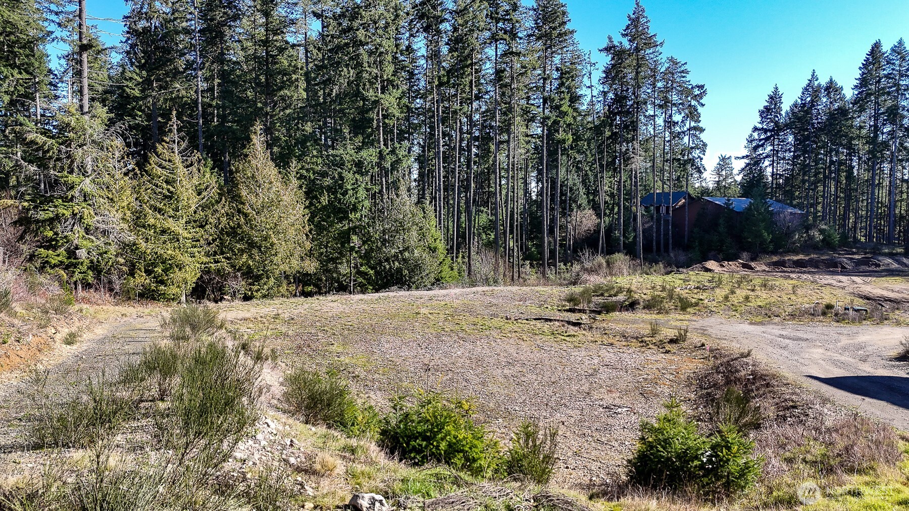 223 W B Street , Shelton, WA 98584