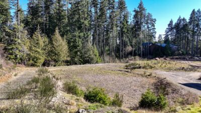 223 W B Street , Shelton, WA 98584 - Photo 1