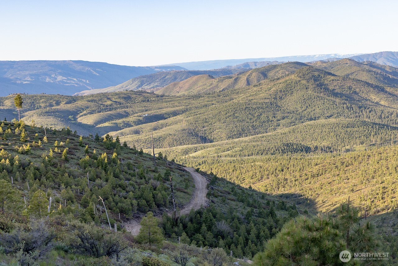 5 USFS 5350 , Chelan, WA 98816