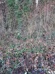 0 Eriksen Place , Concrete, WA 98237