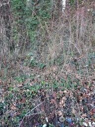 0 Eriksen Place , Concrete, WA 98237 - Photo 2