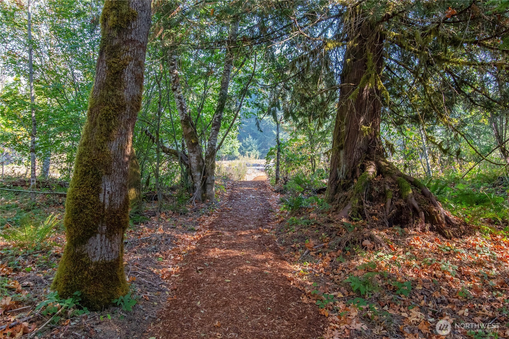 288 Baker Road , Packwood, WA 98377