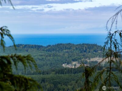 262 Break View Road , Port Angeles, WA 98363 - Photo 13