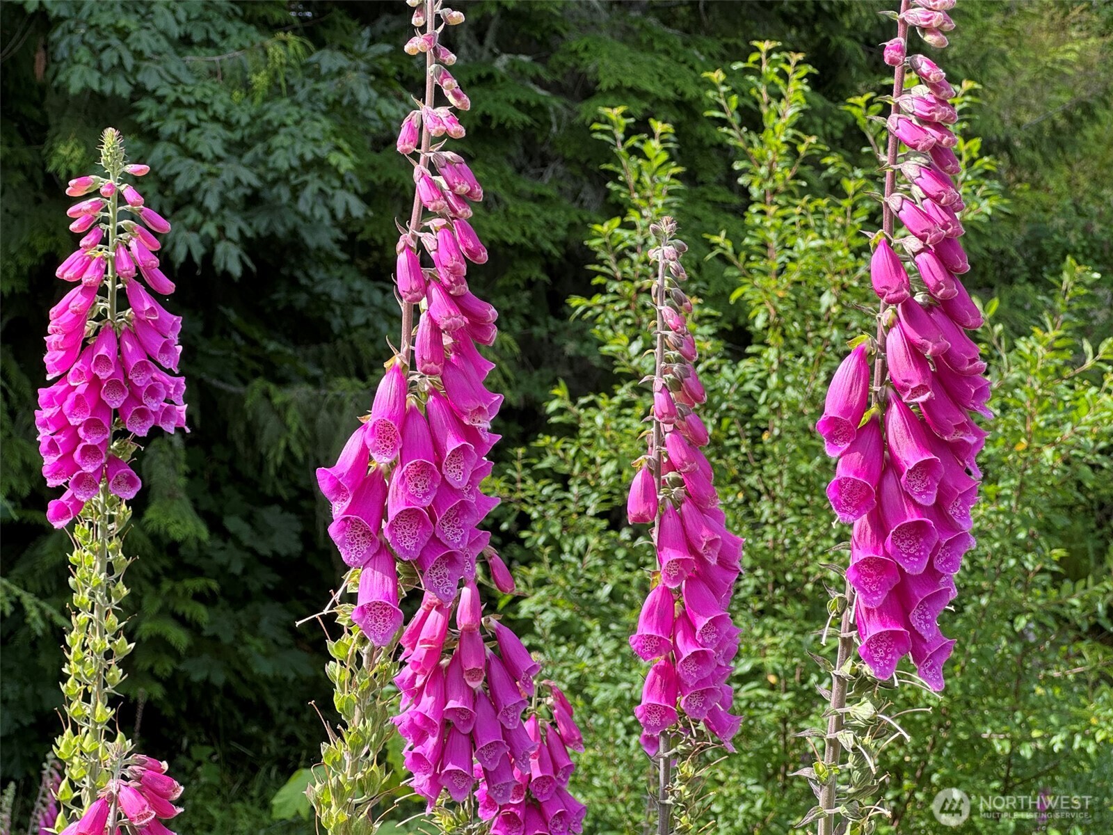 262 Break View Road , Port Angeles, WA 98363