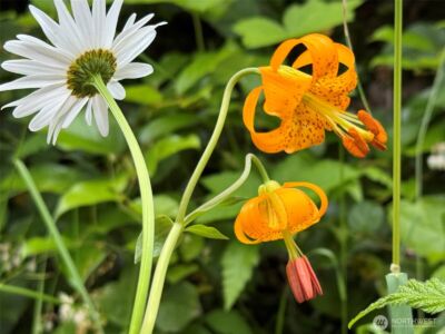 262 Break View Road , Port Angeles, WA 98363 - Photo 32