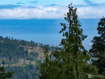 262 Break View Road , Port Angeles, WA 98363 - Photo 36