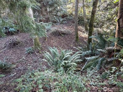 4843 NE Twin Spits Road , Hansville, WA 98340 - Photo 12