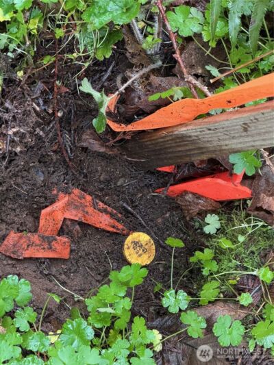 4843 NE Twin Spits Road , Hansville, WA 98340 - Photo 14