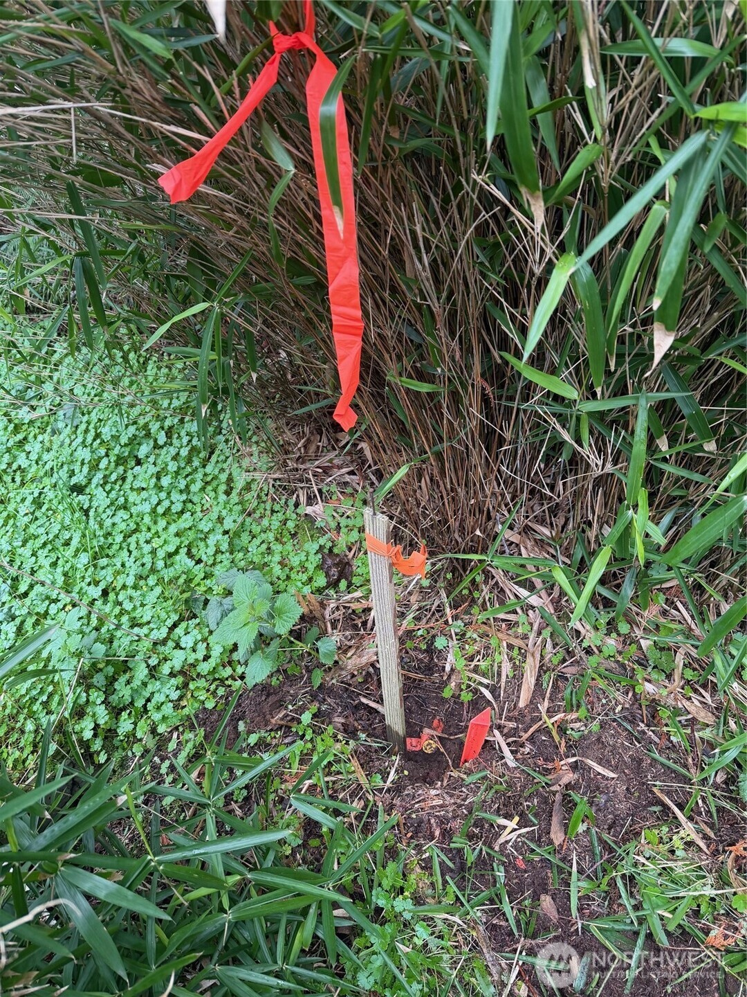 4843 NE Twin Spits Road , Hansville, WA 98340