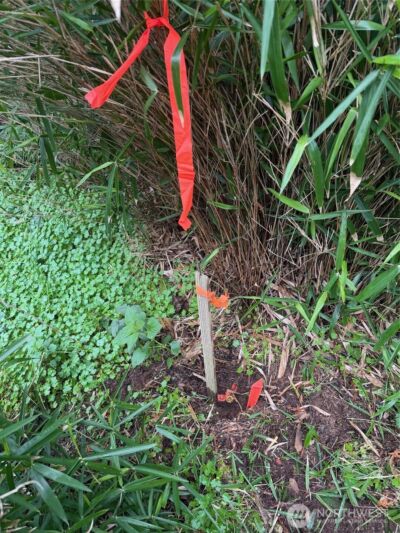 4843 NE Twin Spits Road , Hansville, WA 98340 - Photo 16