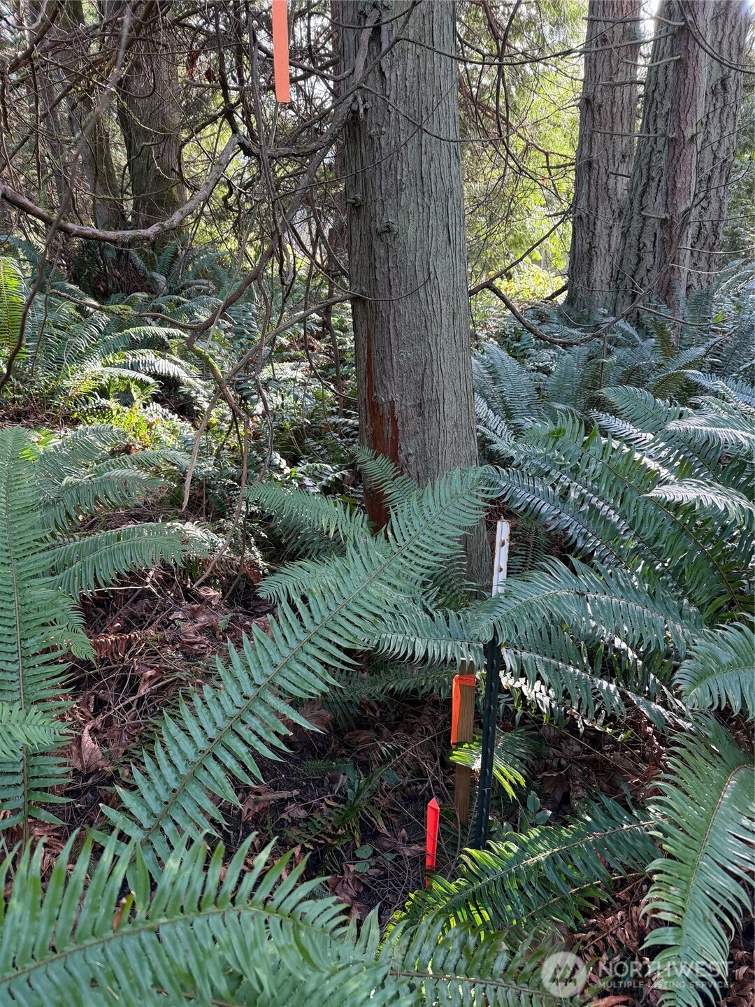 4843 NE Twin Spits Road , Hansville, WA 98340