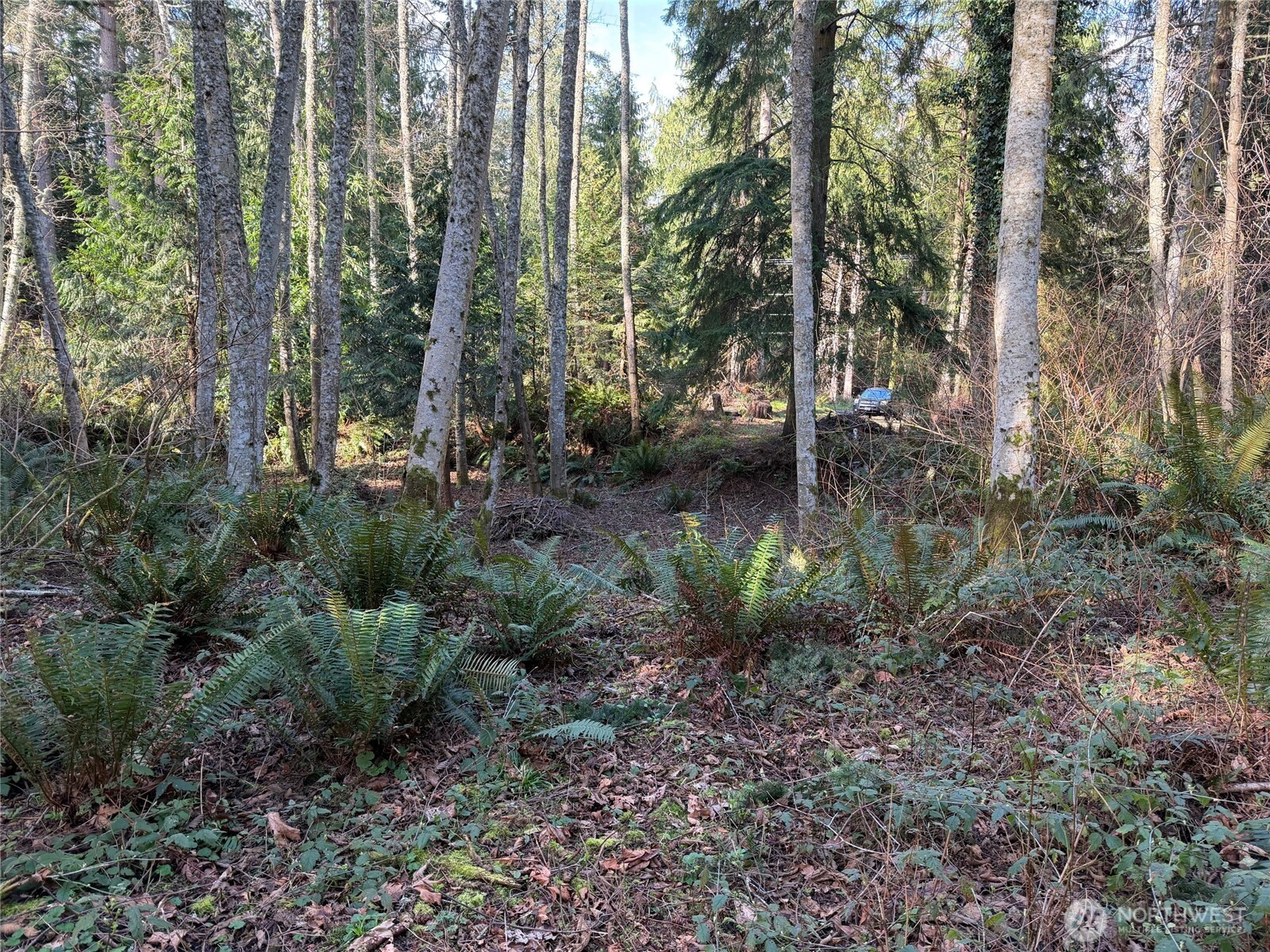 4843 NE Twin Spits Road , Hansville, WA 98340