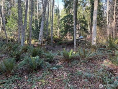 4843 NE Twin Spits Road , Hansville, WA 98340 - Photo 4