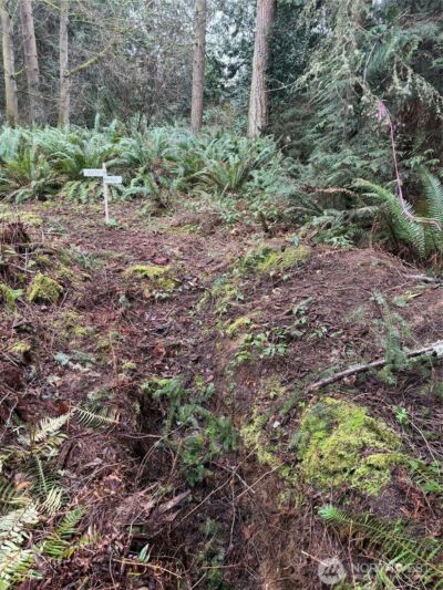 4843 NE Twin Spits Road , Hansville, WA 98340 - Photo 7