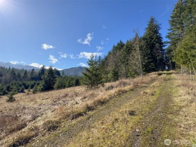 0 NKA Deer Park Road , Port Angeles, WA 98362 - Photo 13