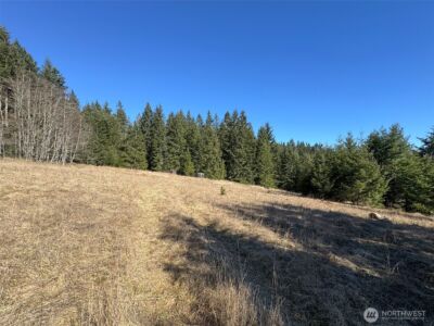 0 NKA Deer Park Road , Port Angeles, WA 98362 - Photo 15