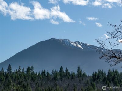 0 NKA Deer Park Road , Port Angeles, WA 98362 - Photo 16