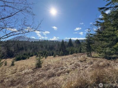 0 NKA Deer Park Road , Port Angeles, WA 98362 - Photo 18