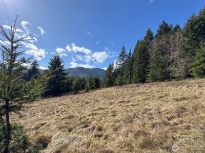 0 NKA Deer Park Road , Port Angeles, WA 98362 - Photo 20