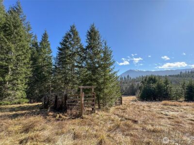 0 NKA Deer Park Road , Port Angeles, WA 98362 - Photo 22