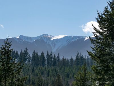 0 NKA Deer Park Road , Port Angeles, WA 98362 - Photo 24