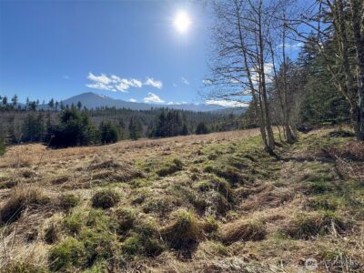 0 NKA Deer Park Road , Port Angeles, WA 98362 - Photo 26