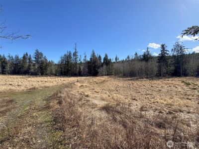 0 NKA Deer Park Road , Port Angeles, WA 98362 - Photo 27
